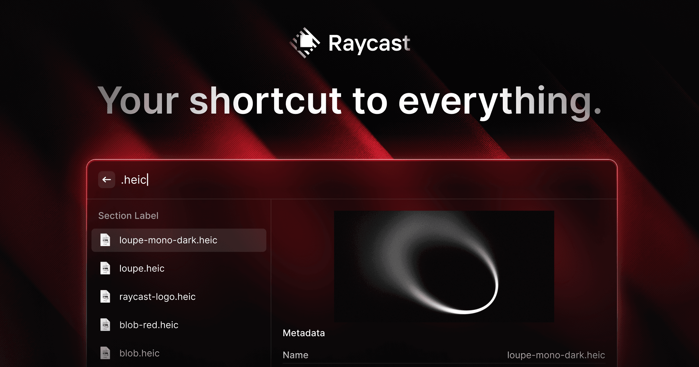 Raycast For Developers